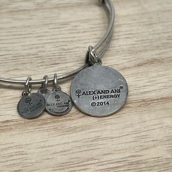 Alex and Ani St Maarten Charm Bracelet - Picture 3 of 3